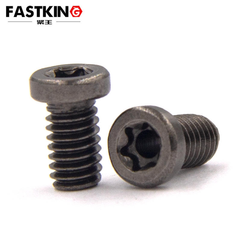 Torx Screwdriver Bit Set