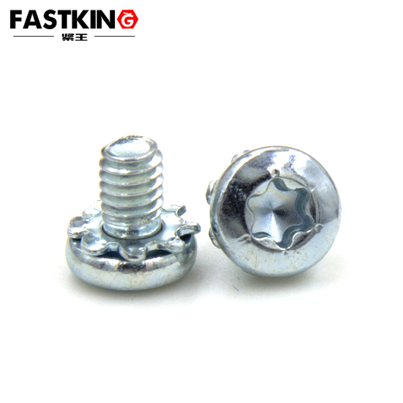 Pan Head Torx Washer Screw‌