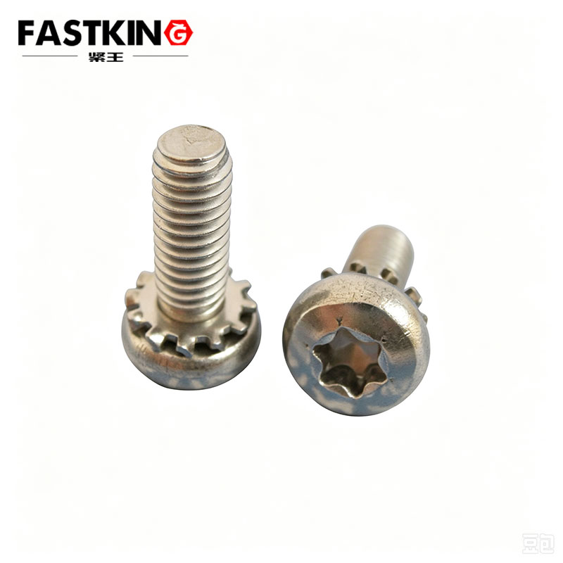 Stainless Steel Torx Sems Screw with External Tooth Washer