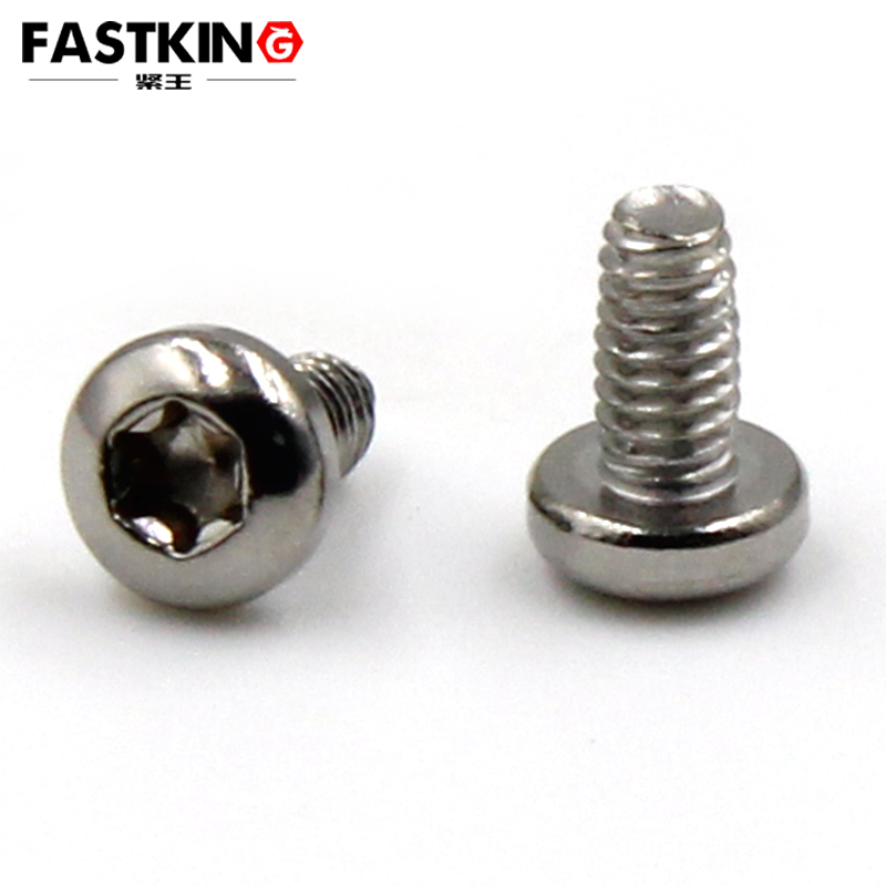 Pan Head Torx Thread-Forming Screw