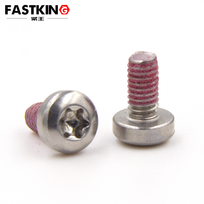 Torx Pan‑Head Machine Screw with Full‑Circumference Red Patch